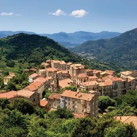 Apartment Au Coeur Des Oliviers Olmiccia